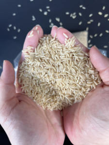 Arroz integral de grano largo Jasmine al por mayor, arroz integral aromático de primera calidad de Vietnam, mejor precio disponible, bolsas al vacío de 500gr y 5kg, ANNA DO - Product Image 3