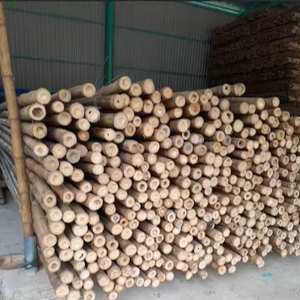 Pôles en bambou durables et éco-responsables, adaptés à l'agriculture, à la fabrication de meubles, à la décoration intérieure et aux projets hôteliers. - Product Image 1