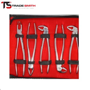 ชุดเครื่องมือถอนฟัน TSI 10 ชิ้น ทำจากเหล็กกล้าไร้สนิม สำหรับทันตแพทย์ ศัลยแพทย์ช่องปาก และคลินิก - Product Image 3