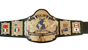 Réplica del Cinturón de Campeonato WF Hogan 87 - Product Image 5