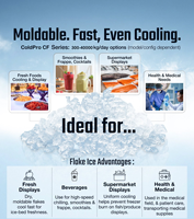 Machine à glace en flocons industrielle COLDPRO 3 tonnes/jour, en acier inoxydable 304, fabrication de glace en flocons, conception personnalisée CE pour les produits de la mer
