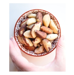 Proveedor de Nueces de Brasil Orgánicas Secas al Por Mayor al Precio Más Bajo con Entrega Rápida - Product Image 1