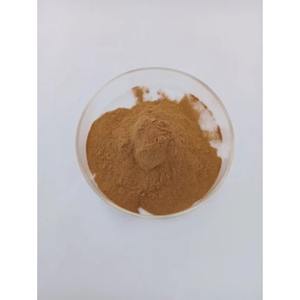 Extrait de plante Kantkari - Product Image 5