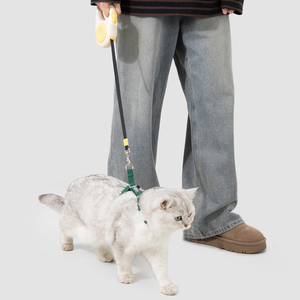 Laisse de chien portable 170g légère rétractable pour promenade, coque ABS, ruban en nylon durable, OEM - Product Image 4