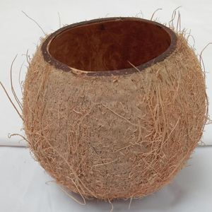 Contenedor de Cera de Coco Natural Vacío para Velas |   Fabricante de Portavelas Hechos a Mano Sostenibles en Vietnam - Product Image 1