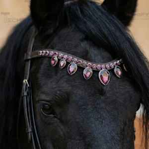 Diadema de Cuero Negro de Lujo para Caballo con Cristales Morados en Forma de Lágrima y Adornos de Diamantes de Imitación - Product Image 1