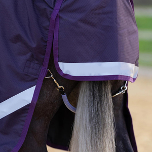 Mantas para Caballos de Algodón, Transpirables, Impermeables y Resistentes al Viento, Diseño Personalizado, Precio Económico al por Mayor, con 4 Correas para las Patas, de Secado Rápido, para Doma Clásica - Product Image 4