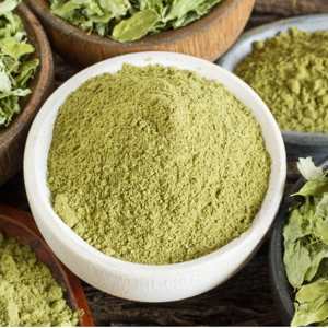 Poudre de séné 100 % naturelle de haute qualité, fabricant de poudre de séné à base de plantes pour la santé digestive et les produits à base de plantes - Product Image 5