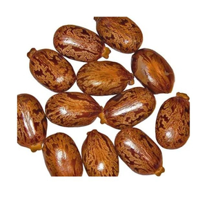 1KG Graines de ricin brutes, sauvages, entièrement matures, séchées, pures, neuves, pour herbes - Product Image 5