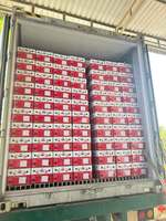 Verse Vietnamese Dragon Fruit, zoet tropisch fruit voor export en groothandelsmarkt