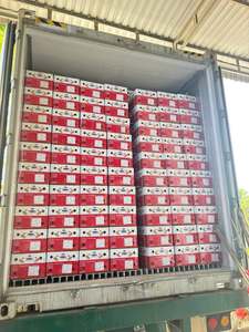 แก้วมังกรเวียดนามสดใหม่ ผลไม้เมืองร้อนหวานๆ สำหรับส่งออกและตลาดขายส่ง - Product Image 1