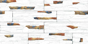 Carreaux muraux Premium Choice de qualité supérieure, carreaux d'élévation Asia Tiles 300x600mm pour articles de santé. - Product Image 2