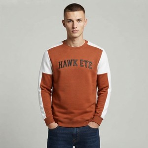 Sudadera Casual para Hombre HAWK EYE SPORTS, Nueva Moda, 350g, Forro Polar, Impermeable, Ecológica, Otoño, Hombros Caídos, Corte Regular - Product Image 4