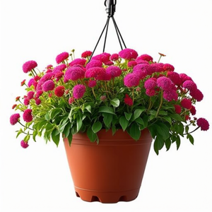 Jardinera Balconera 50, pot de fleurs avec crochet et support, accessoire pour panier suspendu - Product Image 1