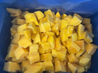 Mangues congelées IQF en dés et cubes du Vietnam pour smoothies et desserts - Mme Tarina