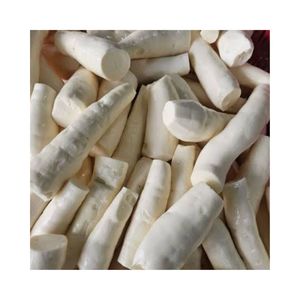 Bloques de Yuca Congelados IQF, Grado A, Empaque a Granel, Directo de Fábrica, Proveedor de Vietnam para Distribución Mayorista - Product Image 1