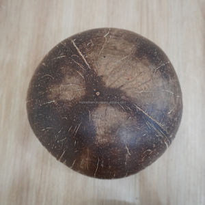 Juego de cuencos para servir de coco desechables orgánicos básicos de Vietnam, cuencos de coco crudo, cucharas de 13-16cm, para el hogar Decoración rústica, hoteles y negocios - Product Image 1