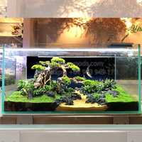 Décoration d'aquarium en bois flotté naturel pour aquarium, forme irrégulière, ornement durable, style simple, fabriqué au Vietnam