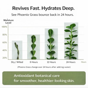 Hot Selling Anti-Aging Firming Organic Marula Oil Anti-Shedding Pet Shampoo for Dogs Cats Deodorizing Hypoallergenic Coat Repair - Product Image 6