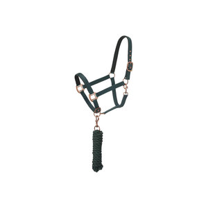 Cabestro de nailon verde para caballo con cuerda de guía y herrajes de cobre, cabezada para caballo - Product Image 1