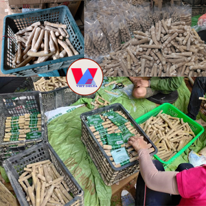 Jouet à mâcher pour chien en bois de café écologique, sûr pour la dentition, durable, pour l'entraînement des muscles de la mâchoire et le soulagement du stress. - Product Image 3