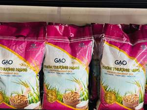 Mayorista TOP en Vietnam de Arroz Jazmín, ST25, Jazmín Premium, Arroz Blanco de Grano Largo, Muestra Gratis |   Sra. Aurora +OO84919574297 - Product Image 2