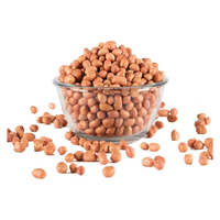 Arachides de qualité supérieure pour l'exportation, origine Inde, teneur en humidité maximale de 7-9%, emballage personnalisable, sans aflatoxine