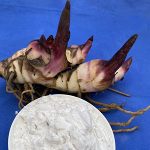 Farine de racine de manioc séchée vietnamienne de qualité supérieure. Sans gluten, naturel, de haute qualité, idéal pour la pâtisserie, cuisine asiatique - Product Image 1
