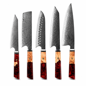 Ensemble de couteaux de chef en acier Damas à 67 couches, ensemble de couteaux de cuisine faits à la main, manche en résine, ensemble de cinq couverts pour la maison et les restaurants - Product Image 1