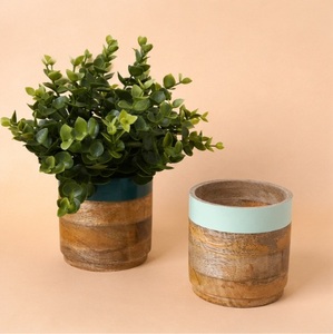 Juego de 2 Macetas de Madera Hechas a Mano, Modernas Macetas de Madera Pintadas a Mano para Plantas de Interior, Decoración del Hogar, Accesorios de Mesa - Product Image 1