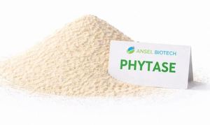 เอนไซม์ไฟทาสชนิดผงสำหรับสัตว์ปีก ผลิตในอินเดีย - Product Image 4