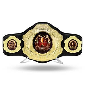 Ceinture de championnat avec logo personnalisé, plaques en laiton alliage 3 mm, ceinture de titre pour la lutte et la boxe - Product Image 1