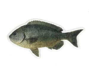 Animal Twill <b>Sew</b>-<b>on</b> Iron-<b>On</b> <b>Patch</b> for Clothing and cap - Product Image 5