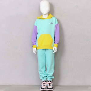 Sudadera con Capucha Informal de Invierno para Niños Unisex, MOQ Bajo, Multicolor, con Paneles, Estilo Pullover, Felpa Francesa, Personalizable, Transpirable, 100% - Product Image 6