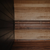 Sauna sec en bois moderne grand format pour intérieur et extérieur avec cabine de douche intégrée, modèle 2026, vente en gros