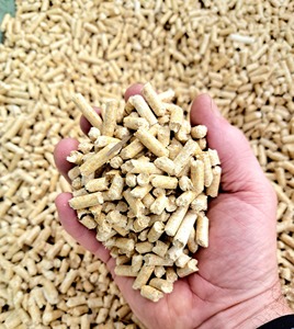 Vente en gros de granulés de bois de haute qualité, en sacs de 15 kg ou plus |   Fabricant de granulés de bois à vendre, prix réduits - Product Image 6