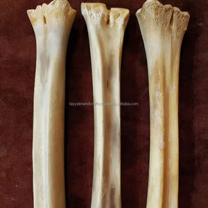 Huesos Comprimidos de Material Orgánico, Piel de Res, Hueso Crudo de Animales, Palitos de Hueso Prensados, Hueso Masticable para Perros, Suministro Directo de Fábrica desde India - Product Image 1