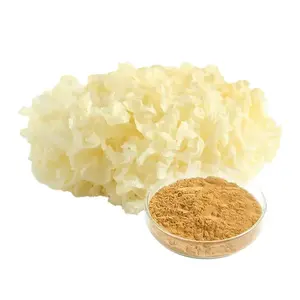 Wholesale OEM Tremella Mushroom Powder Bulk <b>Snow</b> Fungus Manufacturer for Best Price - Product Image 4