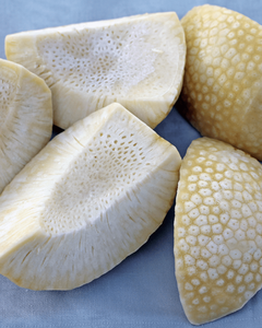 TODOS LOS TIPOS DE FRUTA DE PAN (BREADFRUIT) CONGELADOS IQF DE ALTA CALIDAD – SUMINISTRO ESTABLE, FÁBRICA CON ESTÁNDAR HACCP - Product Image 1