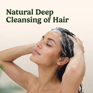 Poudre de Sidr 100% Pure, Meilleure Vente, Qualité Cosmétique Naturelle, Herbe Médicinale, 200g – Poudre de Feuilles de Sidr Favorisant la Croissance des Cheveux et l'Amélioration de la Peau - Product Image 5