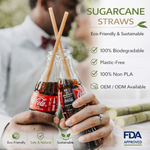 Pailles à boba biodégradables en gros, emballées individuellement, en canne à sucre - Product Image 1