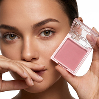 Palette de fards à paupières et de blush personnalisée avec étiquette privée, couvercle transparent carré, couleur personnalisée, plastique AB pour cosmétiques portables