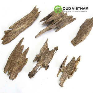 AA+ Vietnam <b>Oud</b> Natural Ant Wood Agarwood Chips 100g AOW2 - Product Image 2