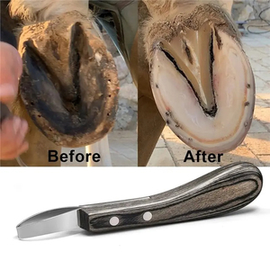Couteau à sabots à manche en bois, lame double tranchante en acier inoxydable, multi-usage pour l'entretien des pieds de cheval - Product Image 4