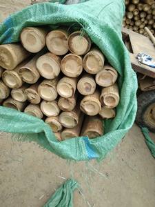 Estacas de Bambú de Fabricación Vietnamita de 8–12 mm y 12–14 cm, Varas de Bambú Natural para Jardinería y Agricultura - Product Image 3