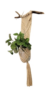 Colgador de Pared de Macramé de Algodón Jacinto para Plantas, para Diwali - Product Image 3