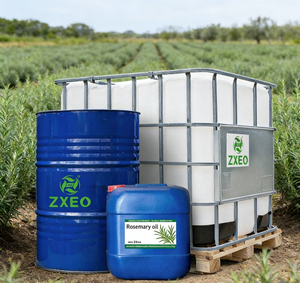 Huile de <span class=keywords><strong>romarin</strong></span> biologique en gros, type <span class=keywords><strong>Cineole</strong></span>, pour l'aromathérapie, le soulagement du stress et la concentration mentale (en vrac) - Product Image 1