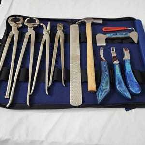 Kit d'outils robustes pour fermeur de chevaux, en acier inoxydable, pour le soin, la coupe et le sablage des sabots - Product Image 5