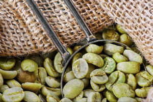 100% Natural Vietnamese Organic <b>Robusta</b> Green <b>Coffee</b> <b>Beans</b> Size 18, Wholesale in Bulk, USDA & ISO 22000 Certification - Product Image 4