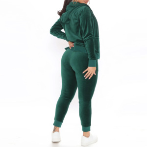 Women Plus Size Velvet Tracksuit <b>Set</b> Hooded Full Length Pants Drawstring Side Pockets Floral <b>Embroidery</b> Casual Autumn Wear - Product Image 2